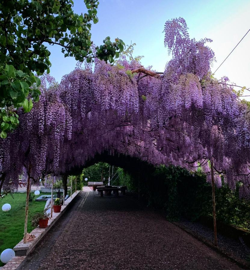 La Brezza Del Pollino Bed & Breakfast โมราโนคาลาโบร ภายนอก รูปภาพ